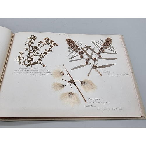 529 - DRIED FLOWER ALBUM: album of dried flower arrangements collected from around Europe 1866. 52pp ... 