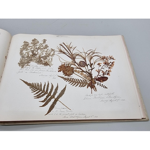 529 - DRIED FLOWER ALBUM: album of dried flower arrangements collected from around Europe 1866. 52pp ... 