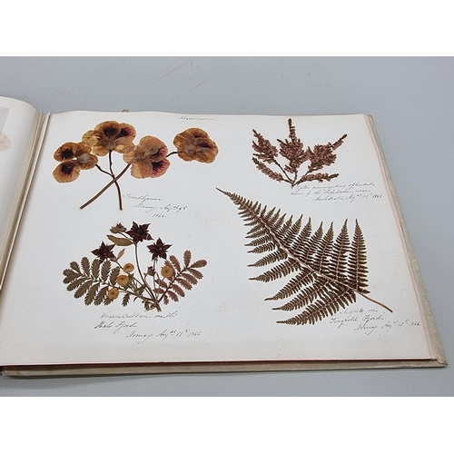 529 - DRIED FLOWER ALBUM: album of dried flower arrangements collected from around Europe 1866. 52pp ... 