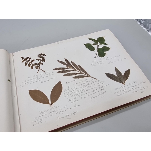 529 - DRIED FLOWER ALBUM: album of dried flower arrangements collected from around Europe 1866. 52pp ... 