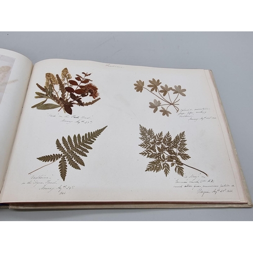 529 - DRIED FLOWER ALBUM: album of dried flower arrangements collected from around Europe 1866. 52pp ... 