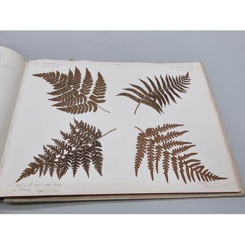 529 - DRIED FLOWER ALBUM: album of dried flower arrangements collected from around Europe 1866. 52pp ... 