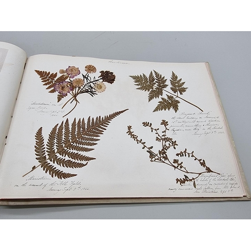 529 - DRIED FLOWER ALBUM: album of dried flower arrangements collected from around Europe 1866. 52pp ... 