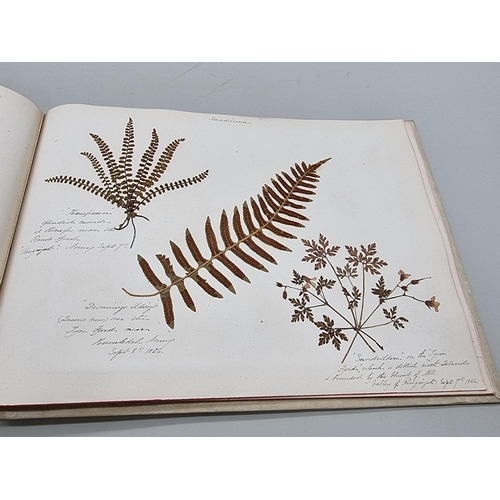 529 - DRIED FLOWER ALBUM: album of dried flower arrangements collected from around Europe 1866. 52pp ... 