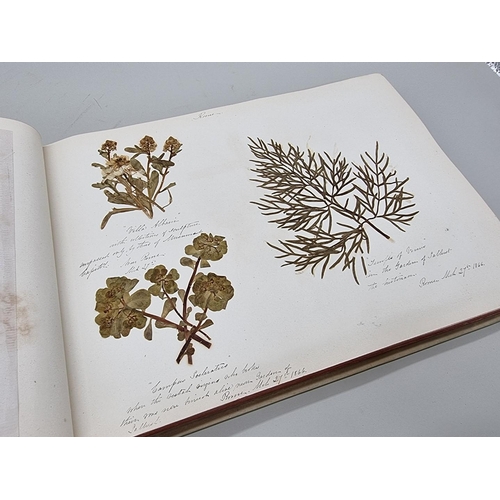 529 - DRIED FLOWER ALBUM: album of dried flower arrangements collected from around Europe 1866. 52pp ... 