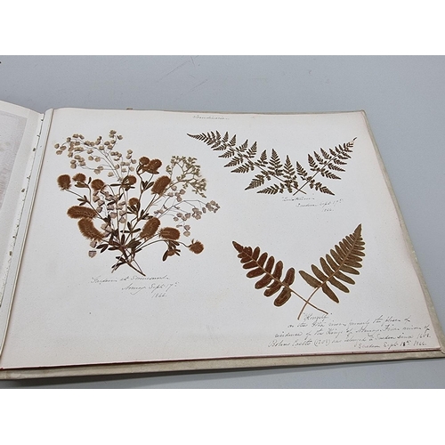 529 - DRIED FLOWER ALBUM: album of dried flower arrangements collected from around Europe 1866. 52pp ... 