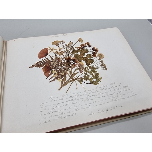 529 - DRIED FLOWER ALBUM: album of dried flower arrangements collected from around Europe 1866. 52pp ... 