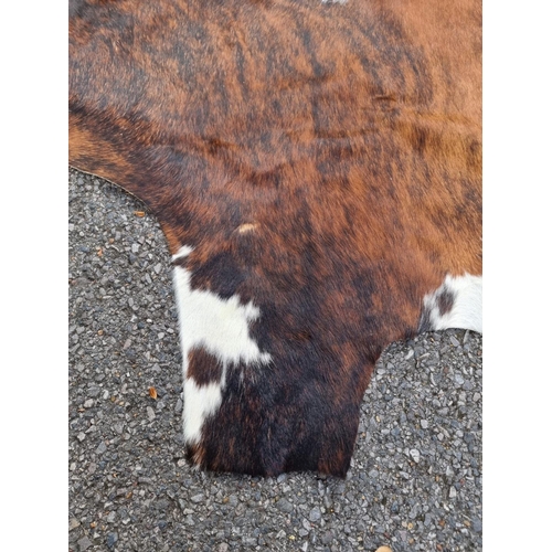 1508 - Taxidermy: a cow hide rug; together with a snake skin panel, 190cm long.