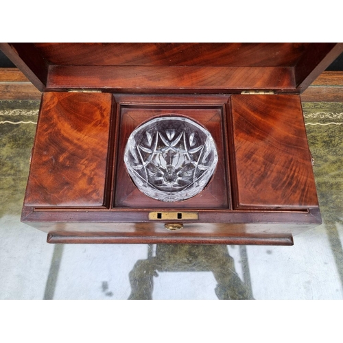 1066 - A 19th century mahogany sarcophagus tea caddy, 34cm wide. 