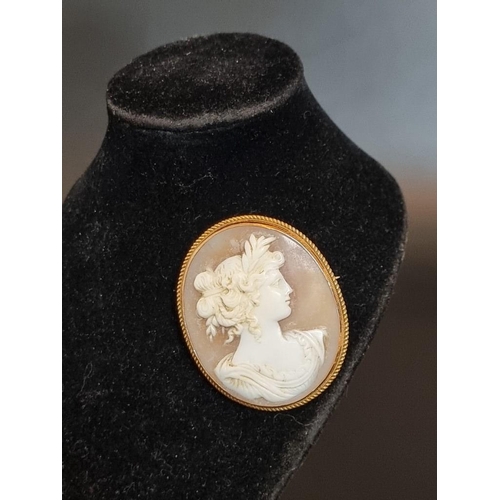 507 - A carved shell cameo, in a metal mount, 44mm high.