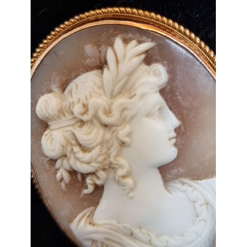 507 - A carved shell cameo, in a metal mount, 44mm high.