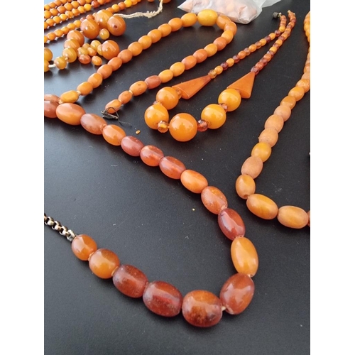 610 - Six amber bead necklaces; together with a quantity of amber beads.