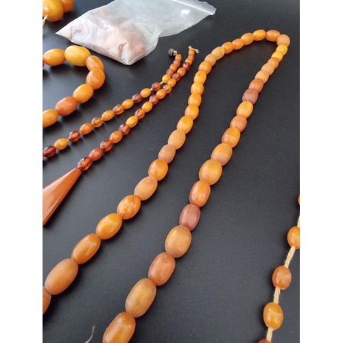 610 - Six amber bead necklaces; together with a quantity of amber beads.