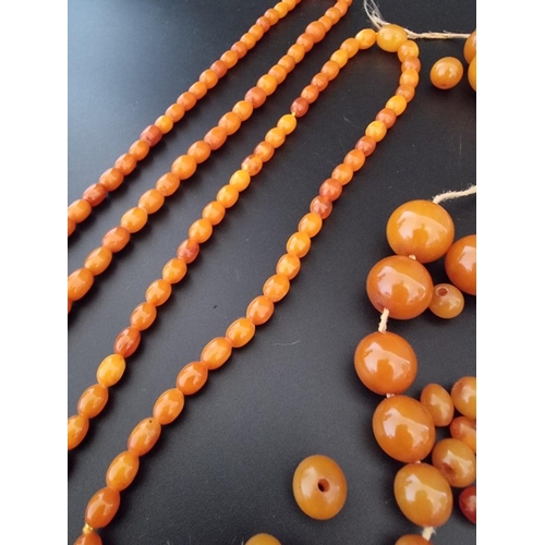 610 - Six amber bead necklaces; together with a quantity of amber beads.