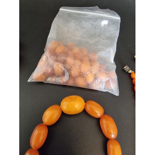 610 - Six amber bead necklaces; together with a quantity of amber beads.