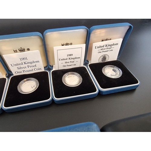 85 - Coins: twelve Royal Mint silver proof one pound coins, each with CoA, boxed.