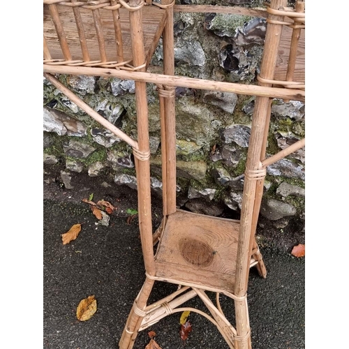 1119 - A wicker plant stand, 115cm high x 61cm wide.  