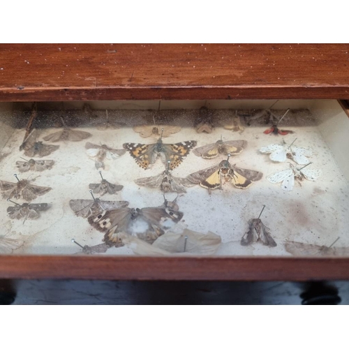 1066 - A Victorian figured walnut and inlaid combined games and work table, 55.5cm wide, (lacking bag).... 