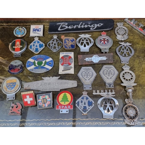 1176 - Automobilia: a collection of car radiator badges and similar.