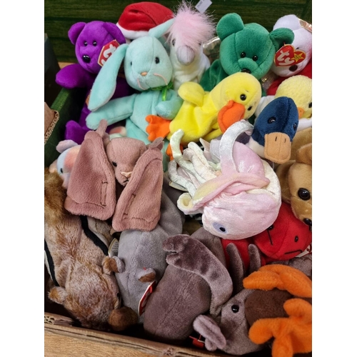 140 - Ty Beanie Babies: a collection of thirty-two, to include birds, animals and sea creatures.... 