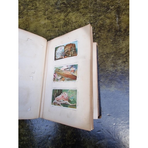 1313 - Stamps: a mixed world stock book; together with an early 20th century album of cigarette cards, to i... 