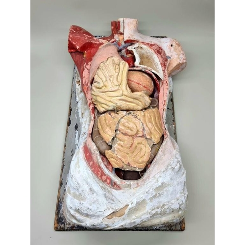 1567 - An antique papier mache lifesize anatomical torso, possibly by Dr Auzoux, 74.5 x 39.5cm.... 