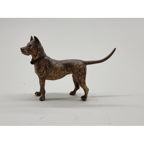 1530 - A cold painted bronze dog, in the manner of Franz Bergman, 12cm long. 