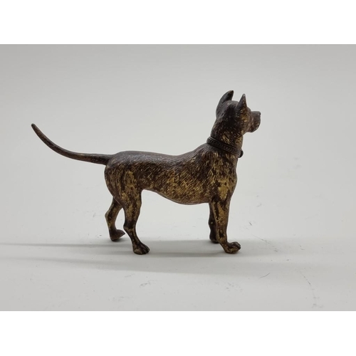 1530 - A cold painted bronze dog, in the manner of Franz Bergman, 12cm long. 