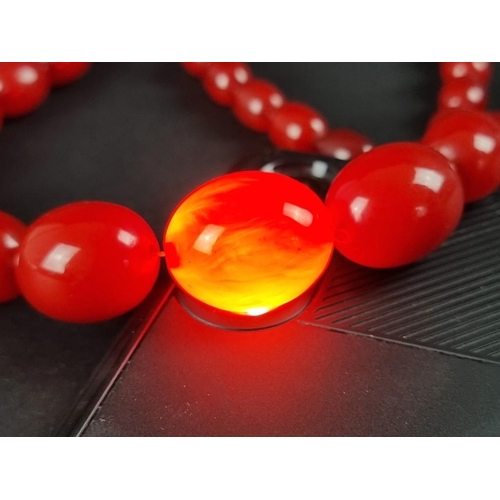 402 - A cherry amber graduated bead necklace, 79cm long, 72g.