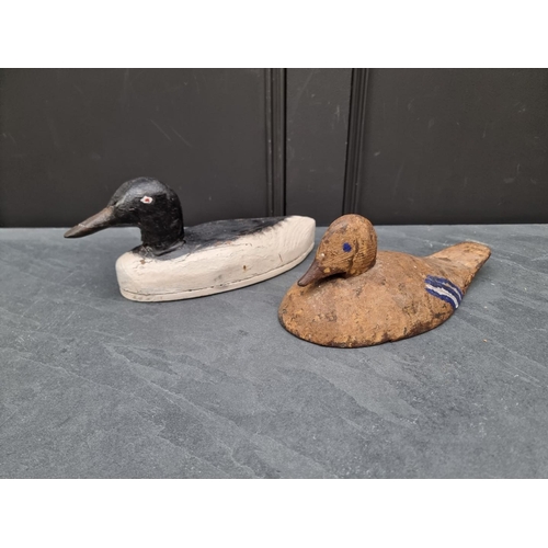 1203 - Two stained and painted decoy Ducks, largest 31cm long.