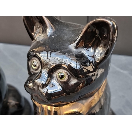 1406 - A pair of late 19th century black glazed pottery cats, probably Staffordshire, with glass inset eyes... 