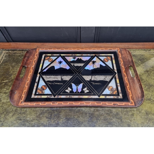 1168 - A Brazilian butterfly wing tray, 63cm wide.