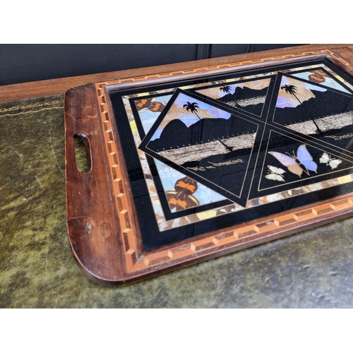 1168 - A Brazilian butterfly wing tray, 63cm wide.