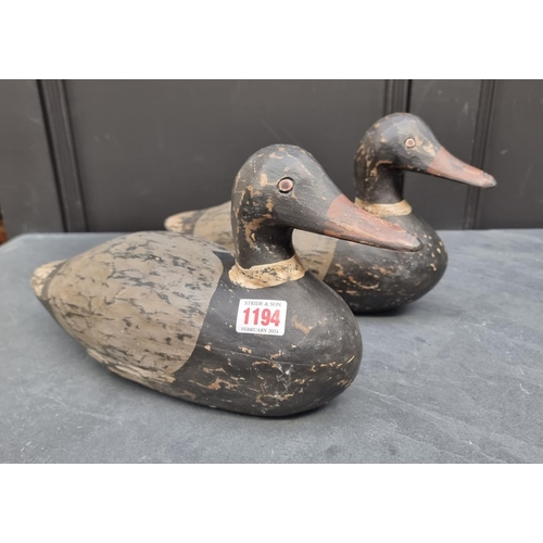 1194 - A pair of stained wood decoy Ducks, 35cm long.