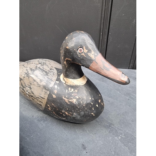 1194 - A pair of stained wood decoy Ducks, 35cm long.