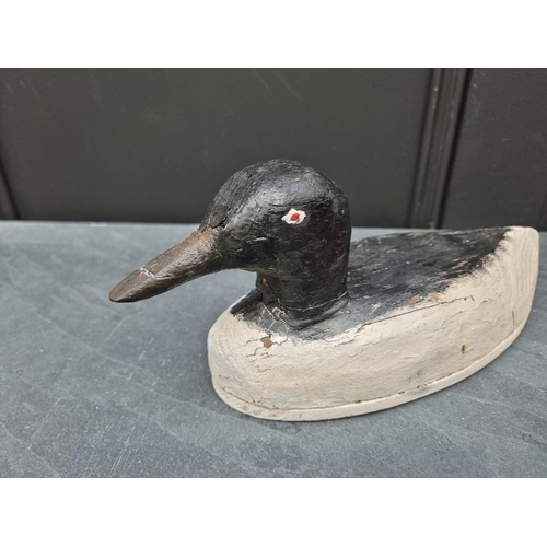 1203 - Two stained and painted decoy Ducks, largest 31cm long.