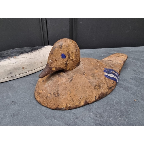 1203 - Two stained and painted decoy Ducks, largest 31cm long.