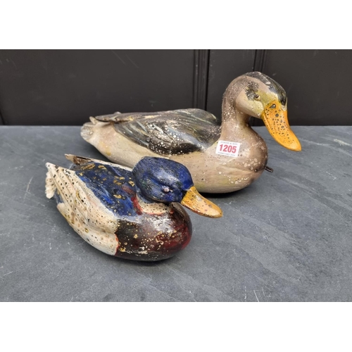 1205 - Two painted decoy Ducks, largest 40cm long.