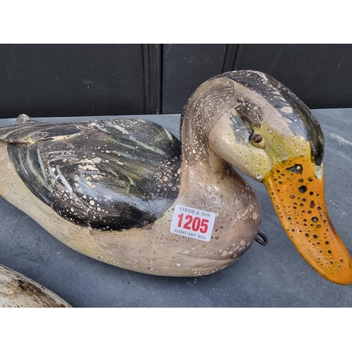 1205 - Two painted decoy Ducks, largest 40cm long.