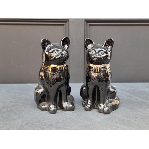 1406 - A pair of late 19th century black glazed pottery cats, probably Staffordshire, with glass inset eyes... 