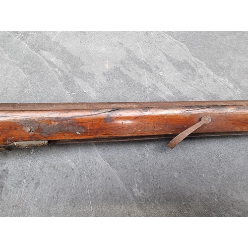 1539 - A circa 1800 muzzle loading double barrel flintlock shotgun, having carved walnut stock and 60cm bar... 