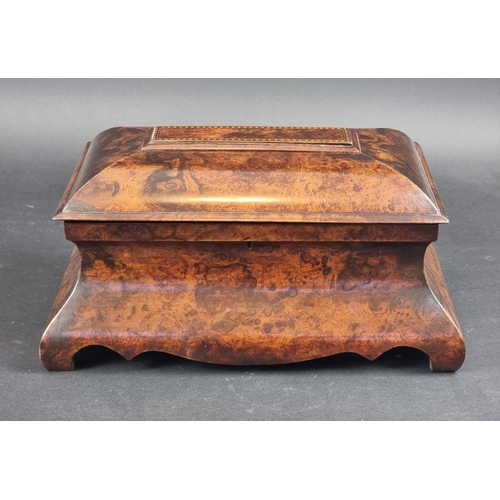 1267 - A good Victorian burr walnut bombe tea caddy, 34.5cm wide.