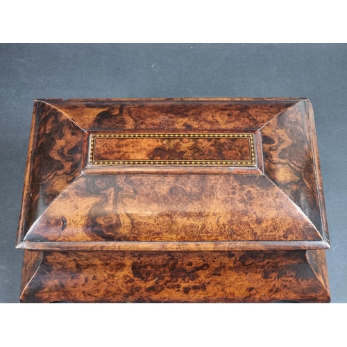 1267 - A good Victorian burr walnut bombe tea caddy, 34.5cm wide.