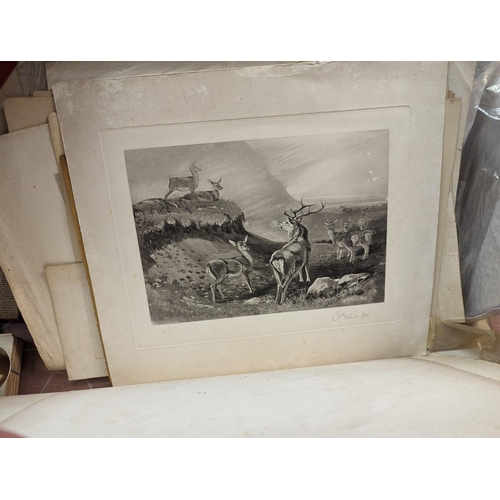 291 - PRINTS, ENGRAVINGS, WATERCOLOURS, PHOTOGRAPHS: a mixed quantity in large box, to include 4 earl... 