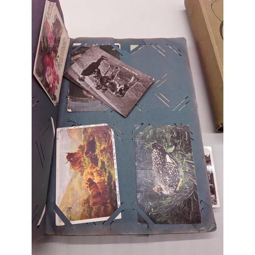 361 - POSTCARD ALBUMS: three albums containing approx 550+ vintage postcards, various types and subje... 