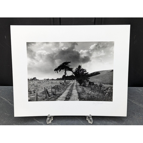 429 - FAY GODWIN (PHOTOGRAPHER 1931-2005): 'Roman Road, Ceiriog': gelatin silver print, 16 x 22.5cm, mount... 