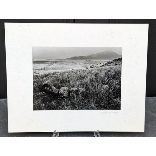 438 - FAY GODWIN (PHOTOGRAPHER 1931-2005): 'Standing Stones, Prenteg Road': gelatin silver print, 16.5 x 2... 