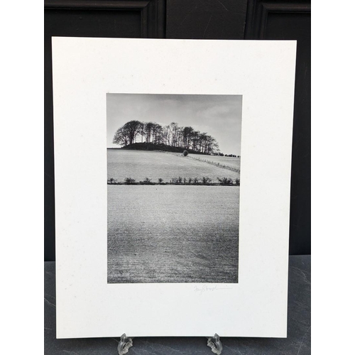 442 - FAY GODWIN (PHOTOGRAPHER 1931-2005): 'East Kennet Longbarrow': gelatin silver print, 22.5 x 16cm, mo... 