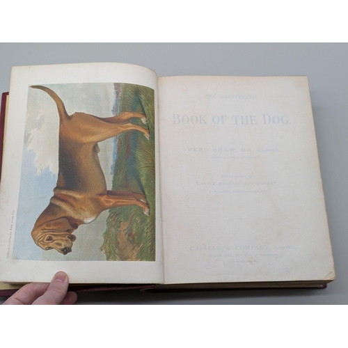 74 - SHAW (Vero): 'The Illustrated Book of the Dog, with an appendix on canine medicine and surgery..': C... 