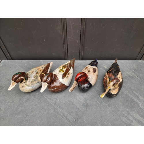 1342 - Four painted and stained wood decoy ducks. (4)